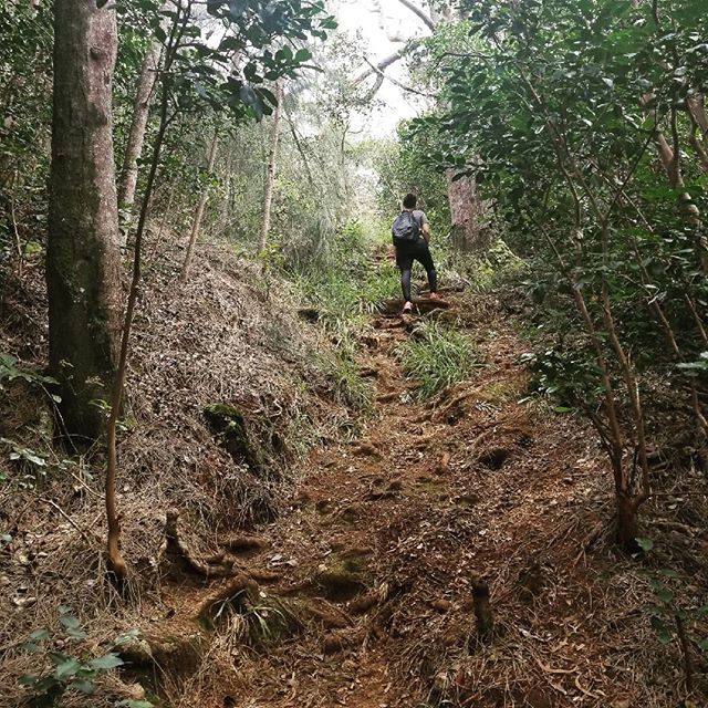 Picture of myself hiking up a forest path in Hawaii. Symbolic of the climb I've made in my personal growth due to courage. 