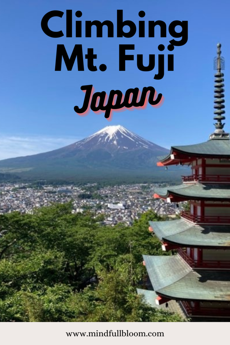 How I Climbed Mt. Fuji and Faced My Fears - Mind Full Bloom