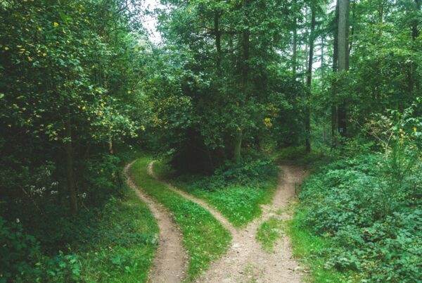 Happiness is One Choice Away